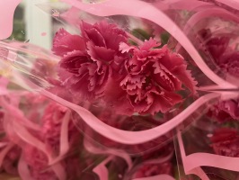 HAPPY MOTHERS DAY:IMG_9613
