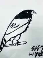 校長藝術課  台灣藍鵲  水墨:IMG_4130