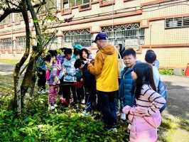 校園喬木灌木:IMG_4677