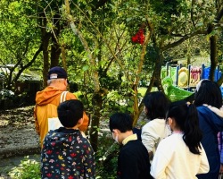校園喬木灌木:IMG_4678
