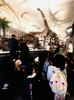 化石博物館:IMG_5898