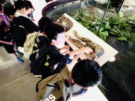 化石博物館:IMG_5903