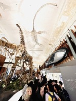 化石博物館:IMG_5907